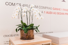 StandIguatemi-053-2482