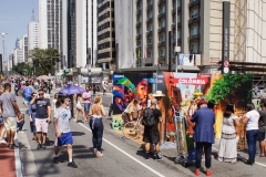 ProCol-Paulista-44